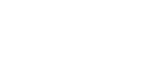 С. П. Бург и партнёры