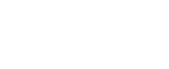 Алгоритмика Выборг